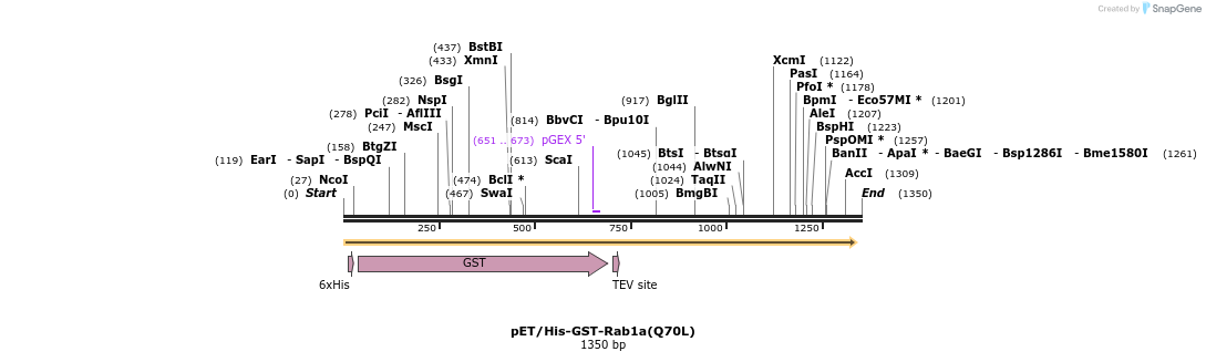 458046_map