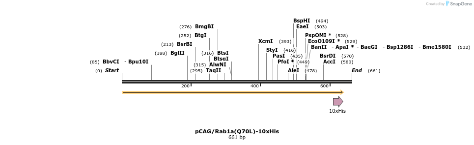 458047_map