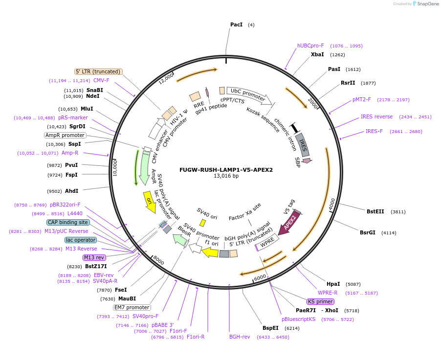 458071_map