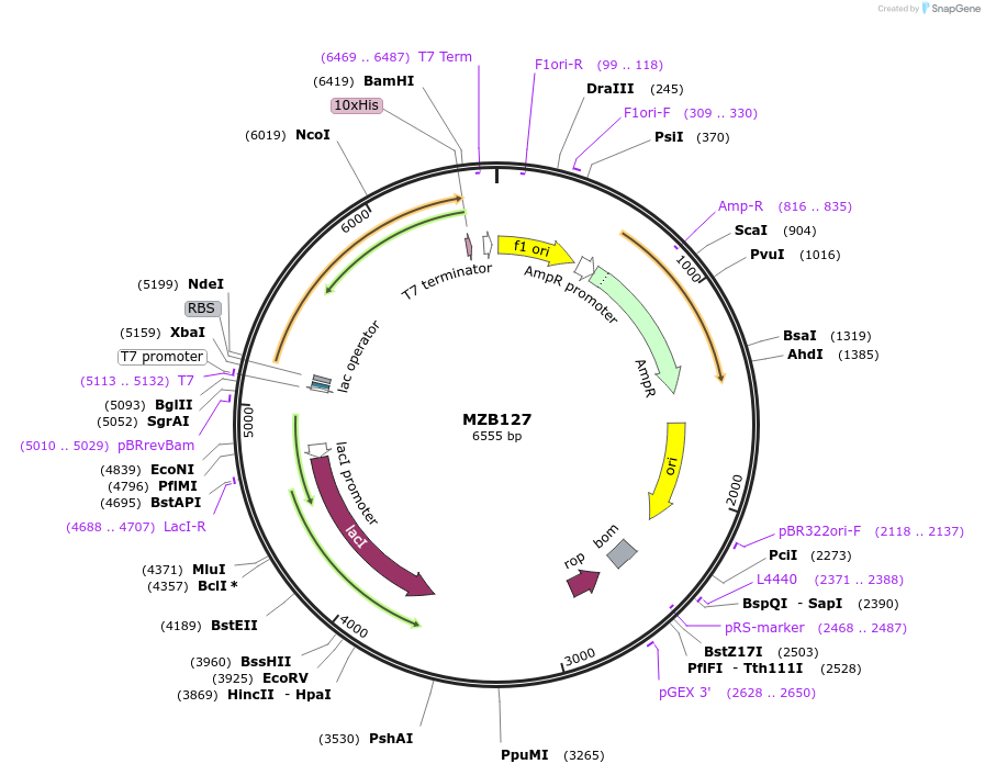 458081_map