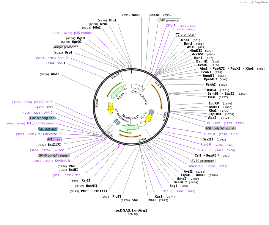 458100_map
