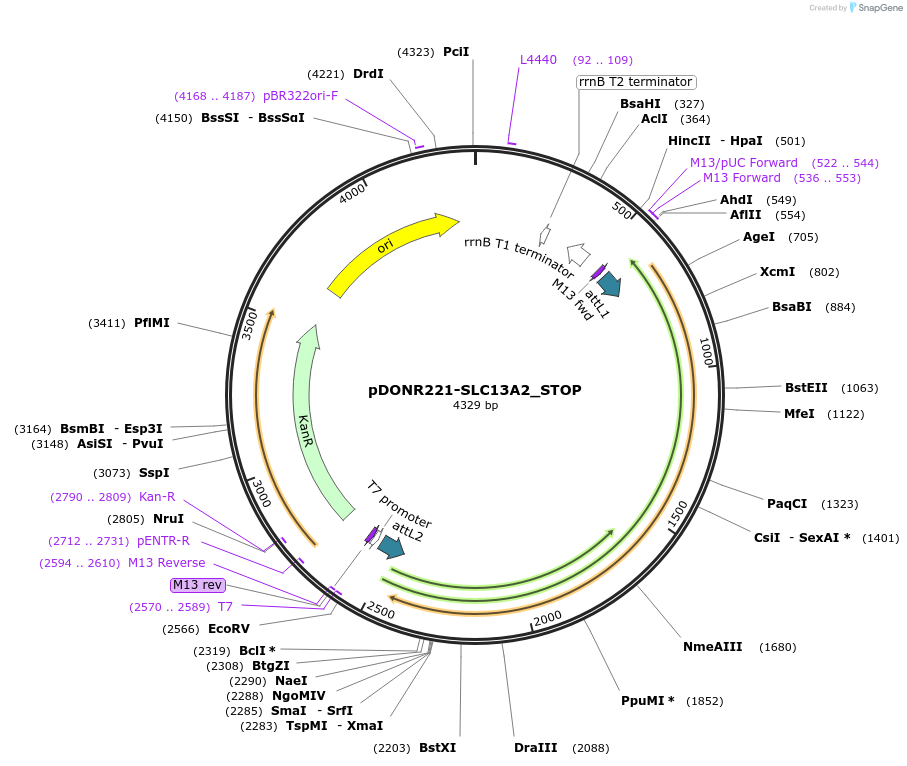 458142_map