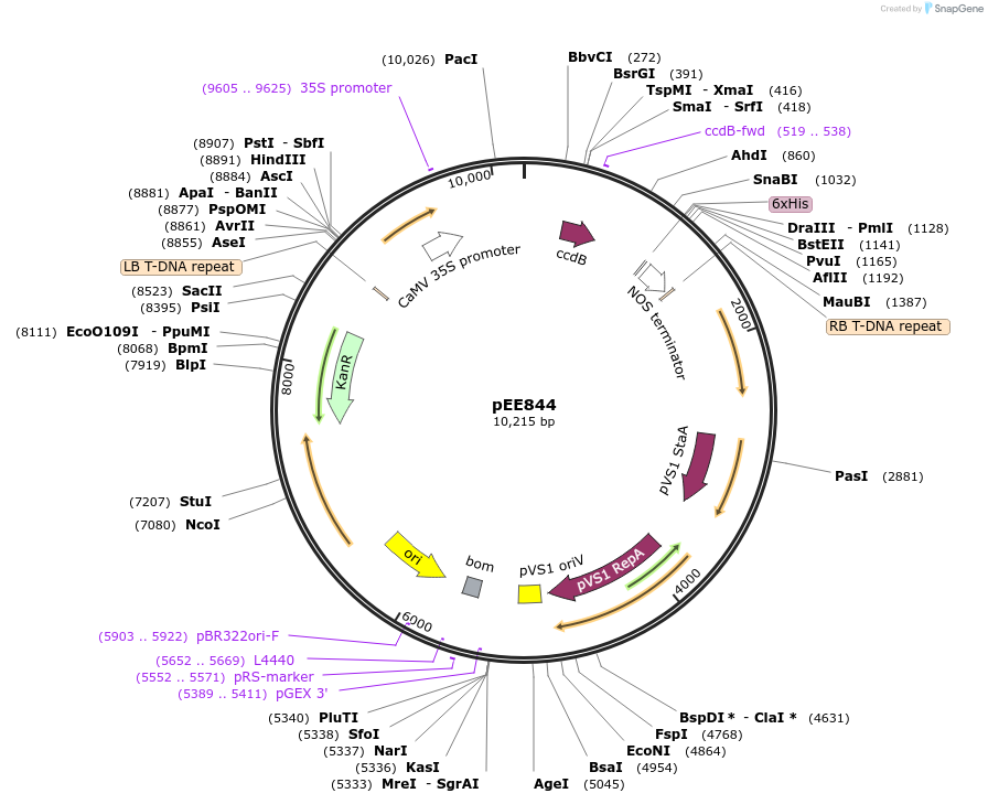 458177_map