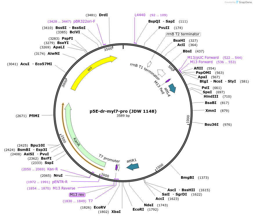 458201_map