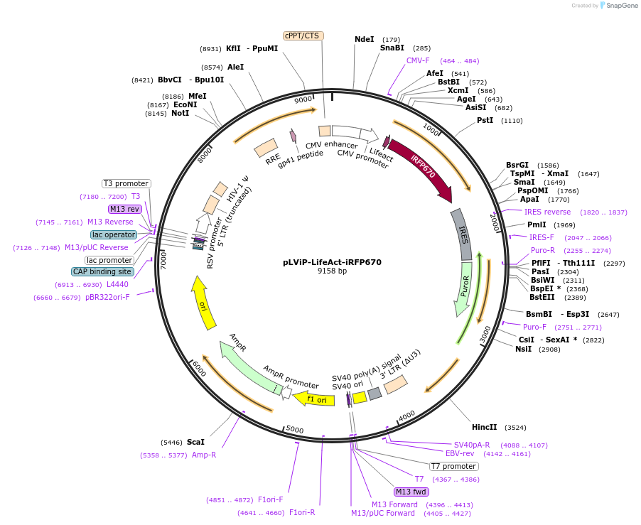 458301_map
