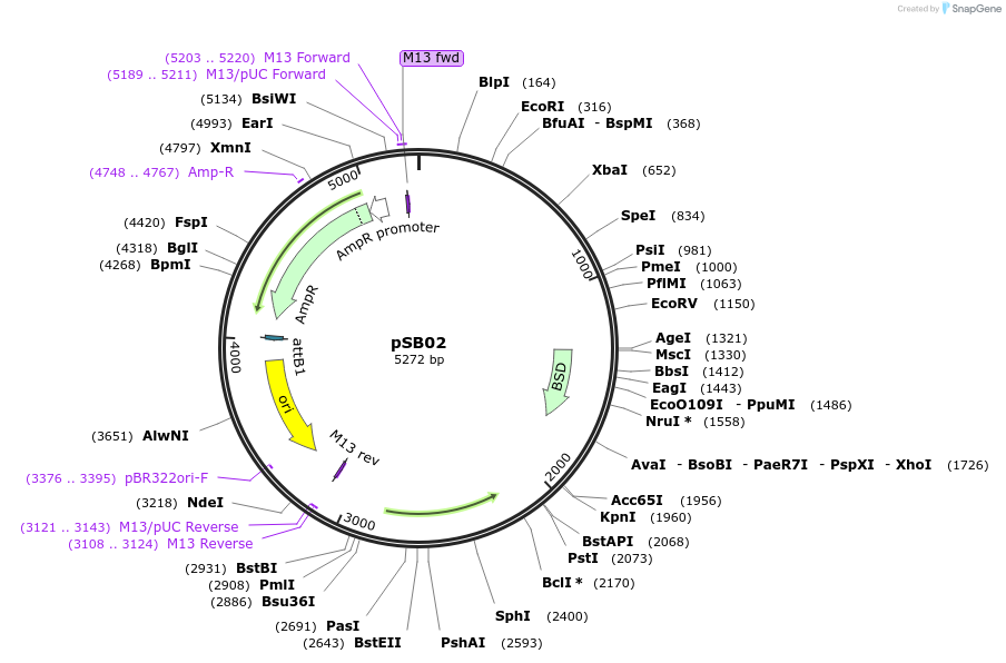 458318_map