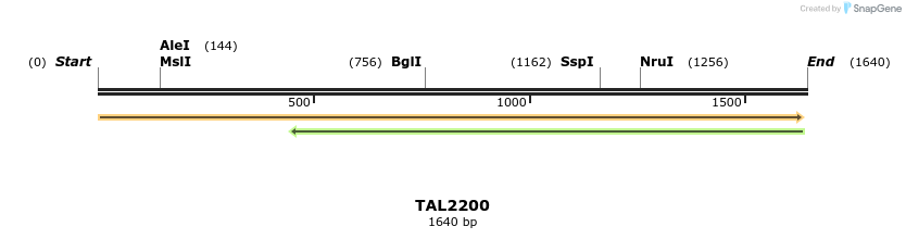 45856_map