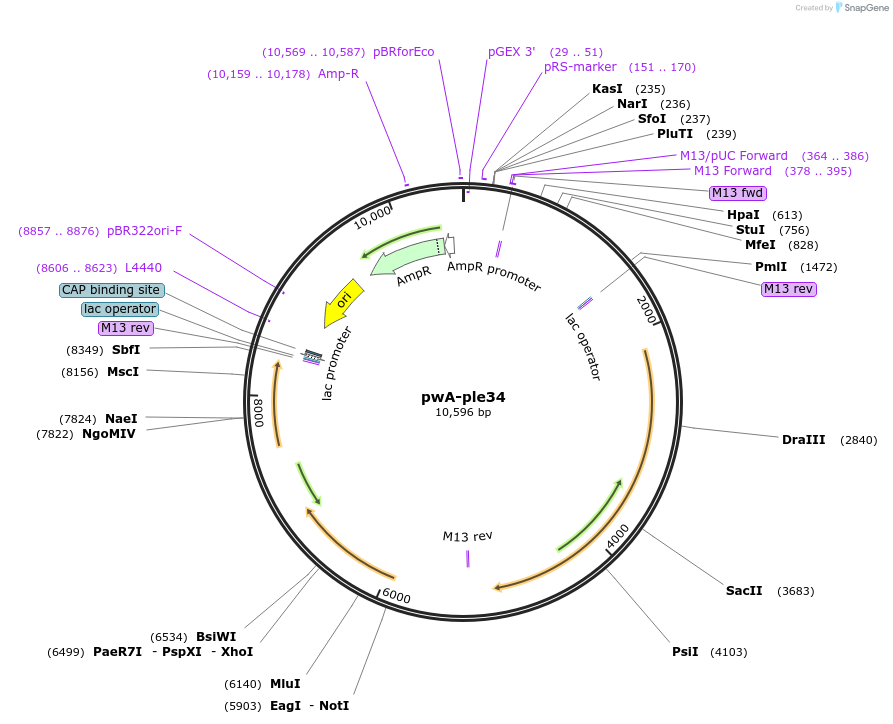 458564_map