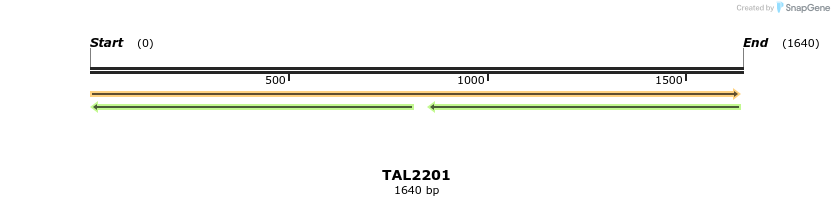 45857_map