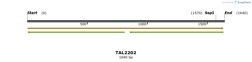 45858_map