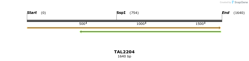 45860_map