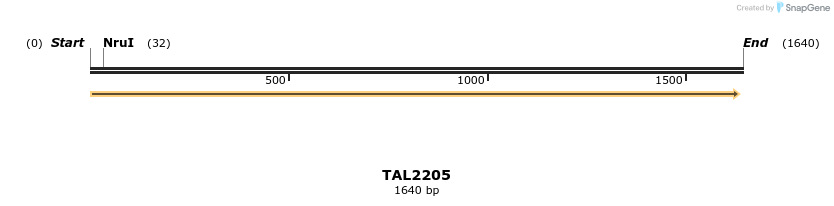 45861_map