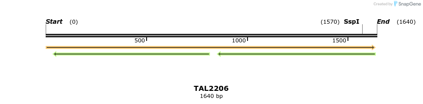45862_map