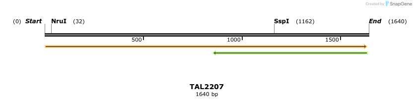 45863_map