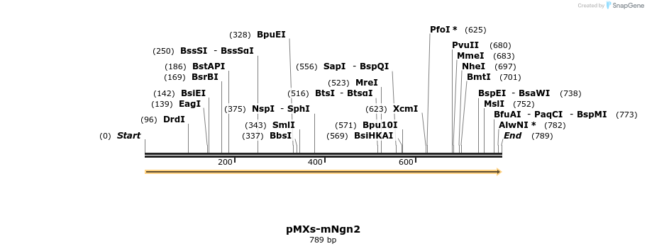 458649_map