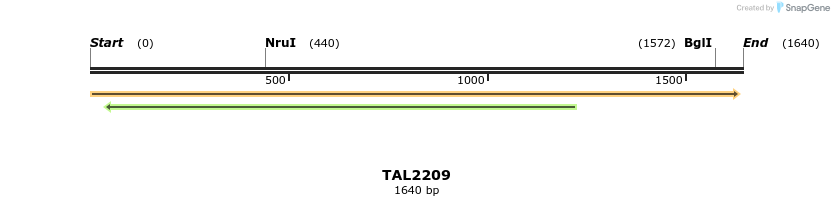 45865_map
