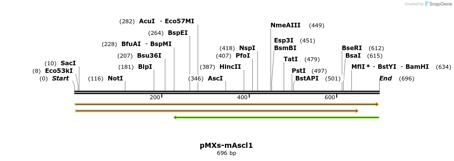458657_map
