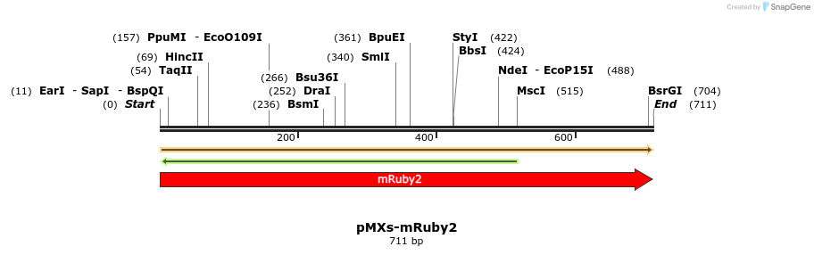 458664_map