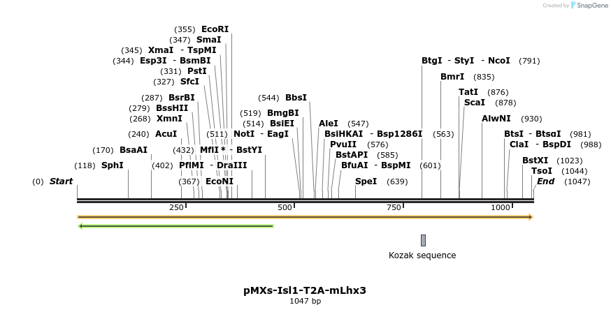 458678_map