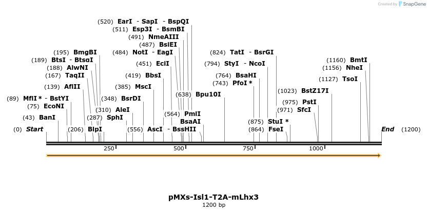 458679_map