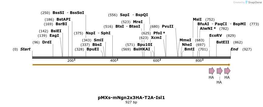 458681_map