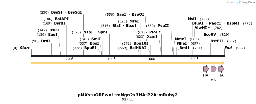 458690_map
