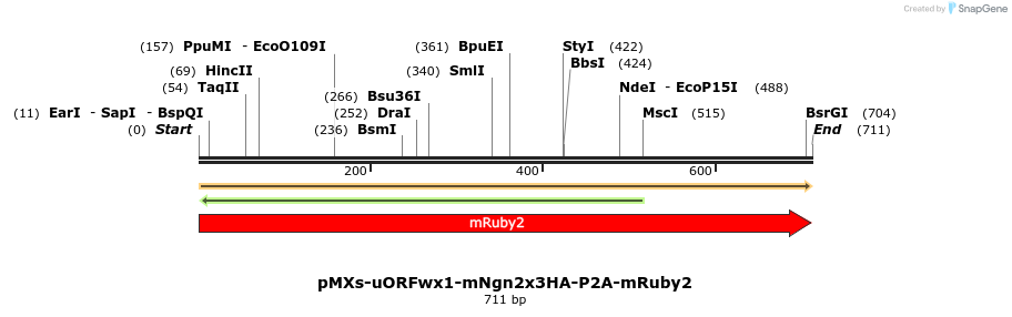 458691_map