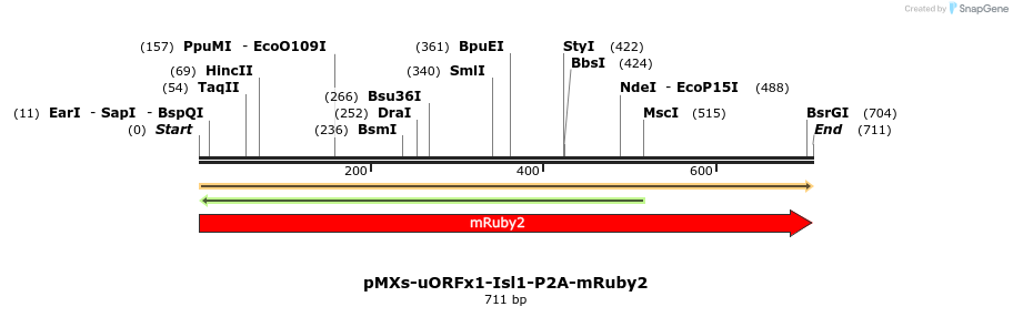 458712_map