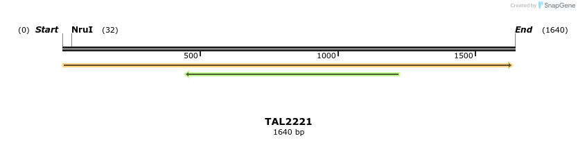 45873_map