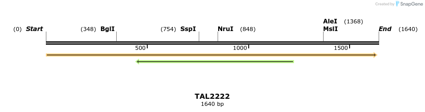 45874_map