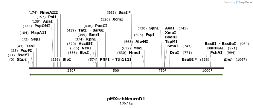 458748_map