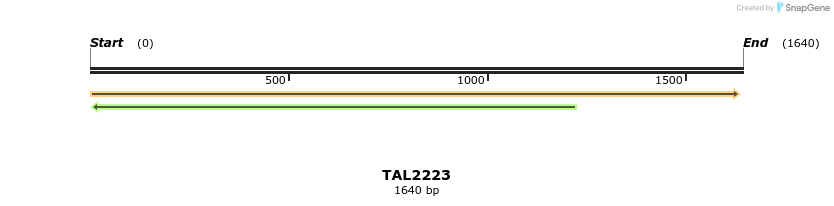 45875_map
