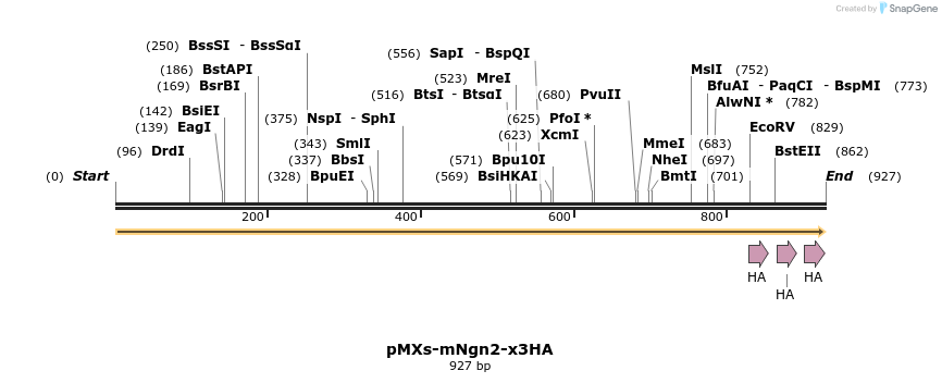458762_map