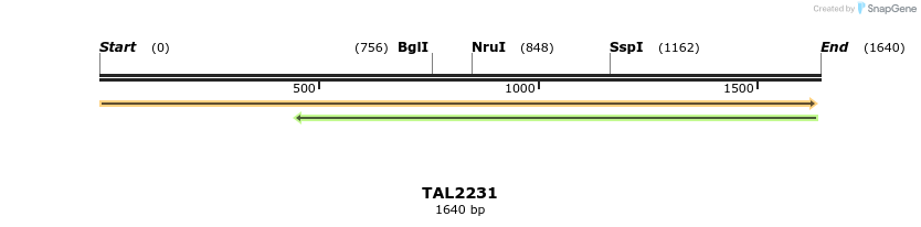 45879_map