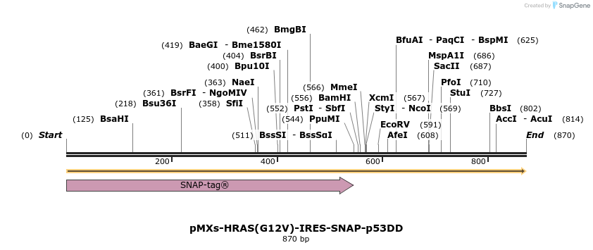 458793_map