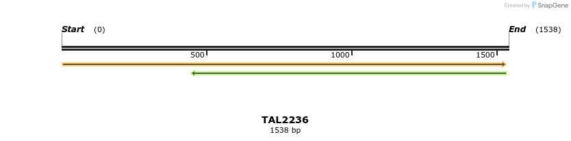 45880_map