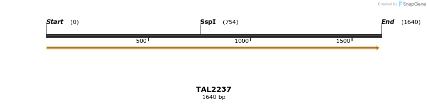 45881_map