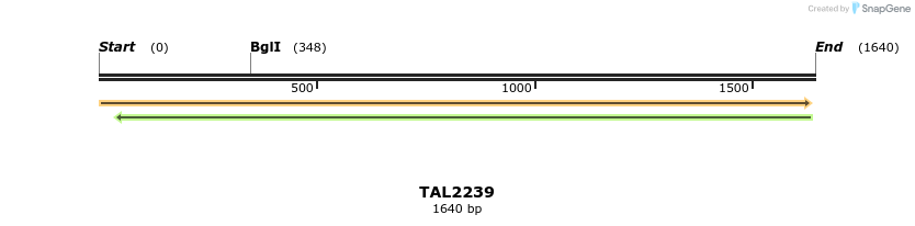 45883_map