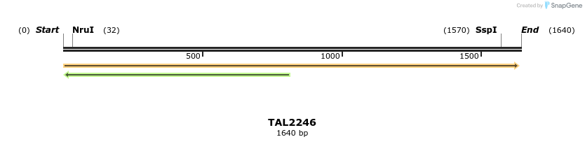 45884_map