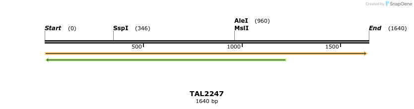 45885_map