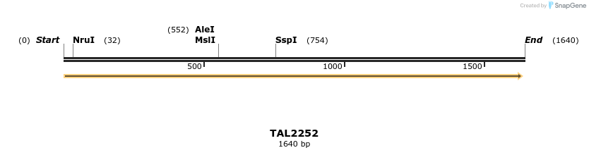 45888_map