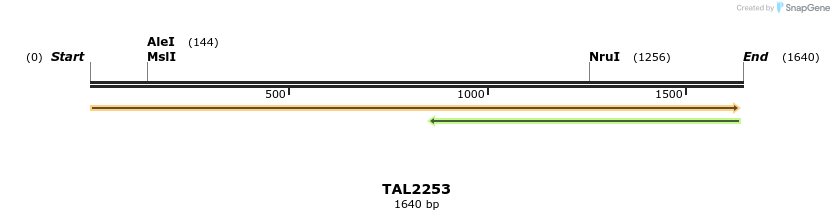 45889_map