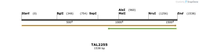 45891_map