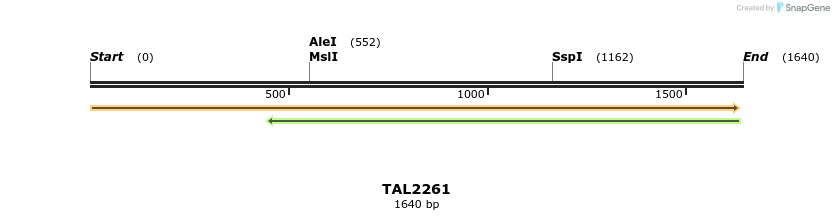 45893_map