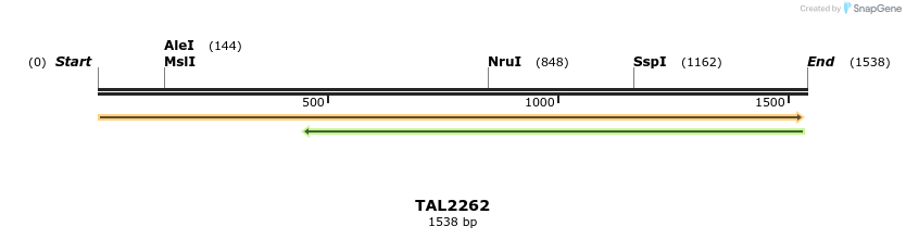 45894_map