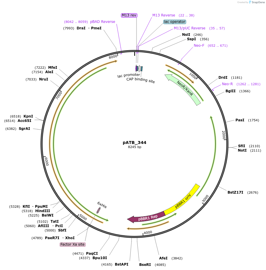 458965_map