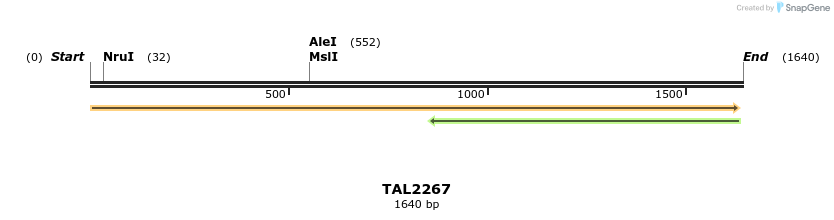 45897_map