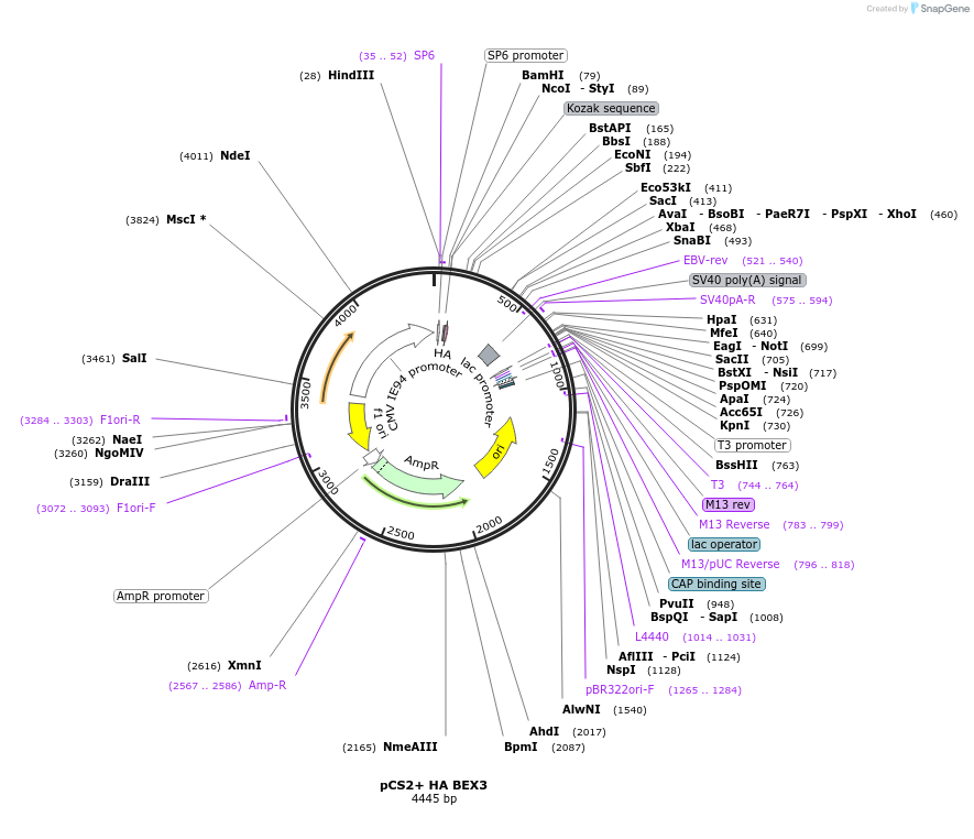 458979_map