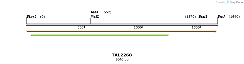 45898_map