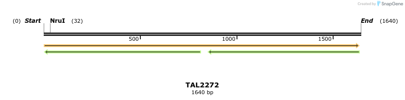 45902_map
